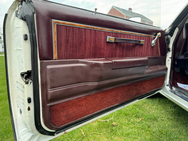 1980 Buick Regal