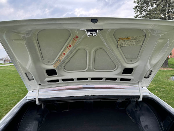1980 Buick Regal