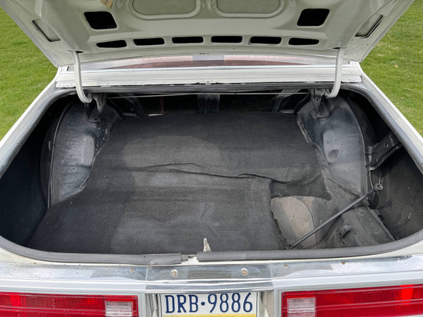 1980 Buick Regal