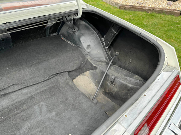 1980 Buick Regal