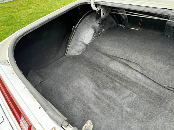 1980 Buick Regal