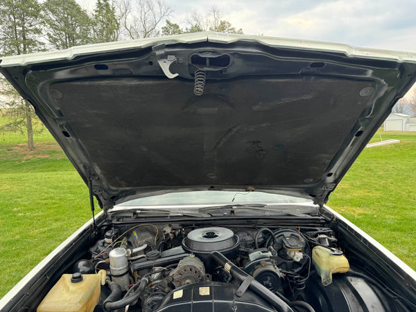 1980 Buick Regal