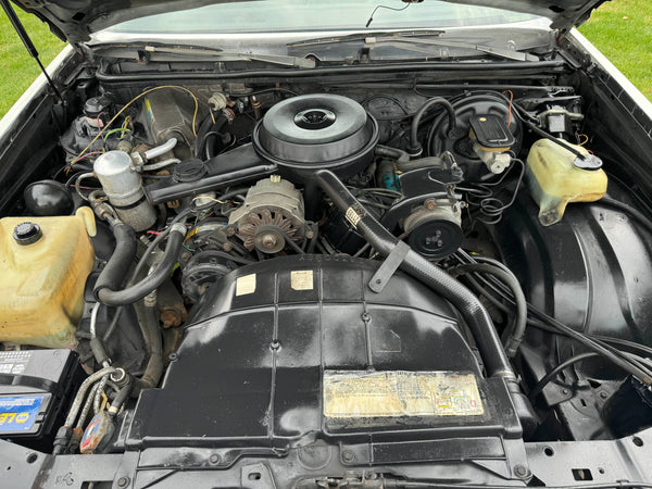 1980 Buick Regal