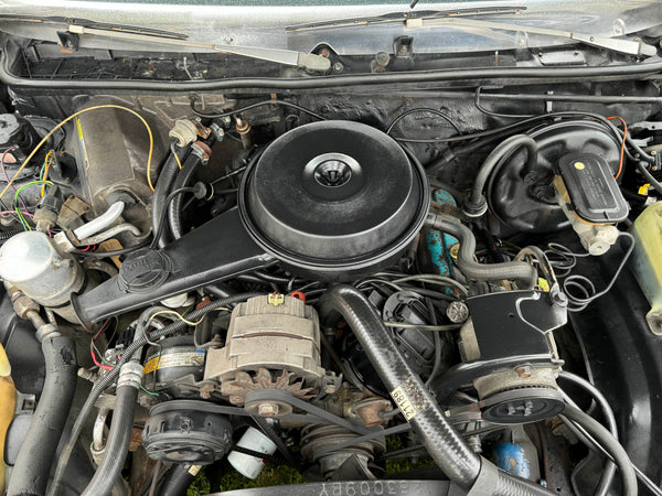 1980 Buick Regal
