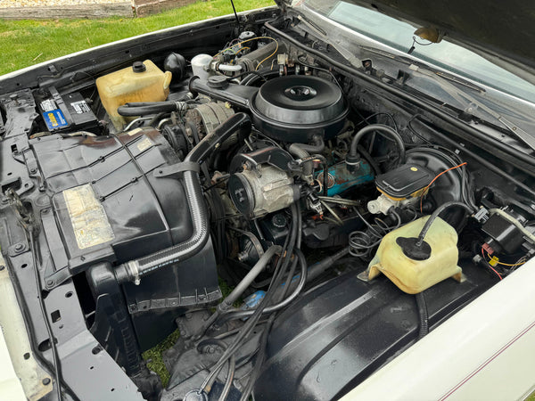 1980 Buick Regal