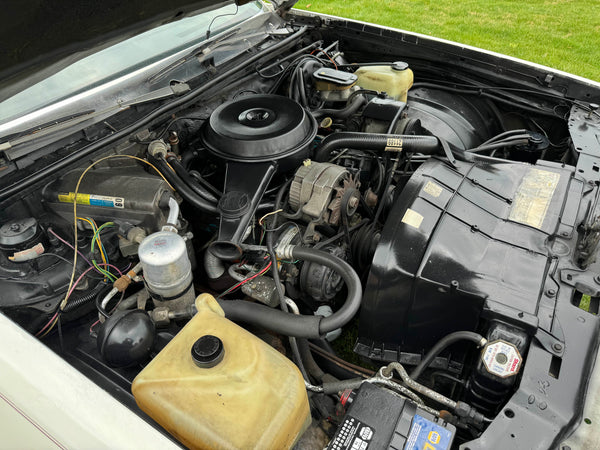 1980 Buick Regal