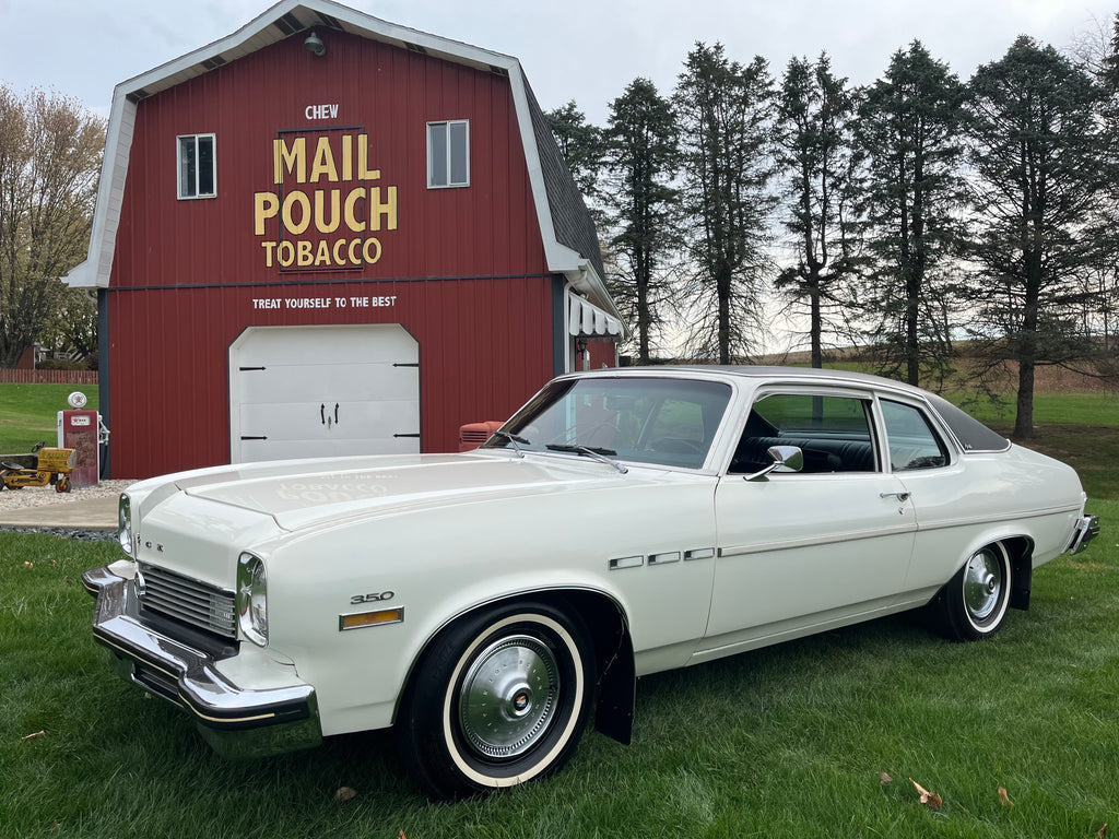 1973 Buick Apollo