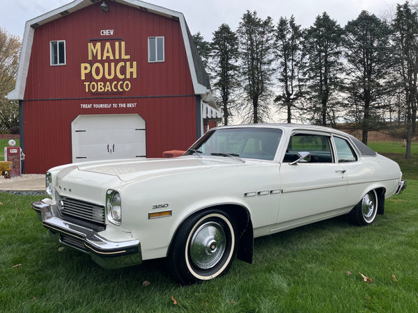 1973 Buick Apollo