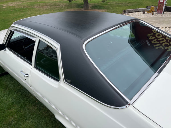 1973 Buick Apollo