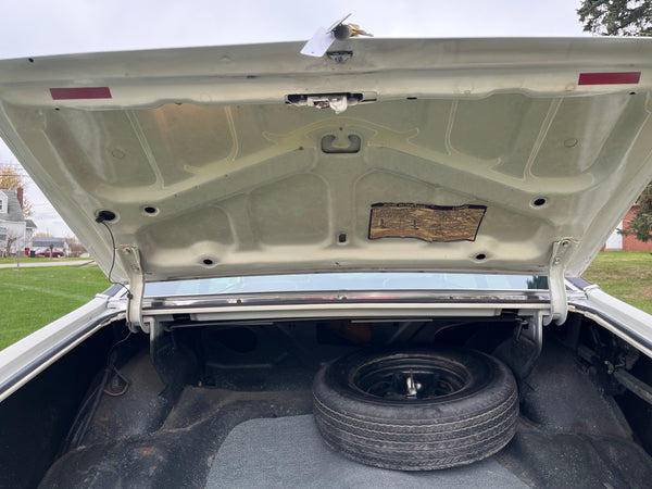 1973 Buick Apollo