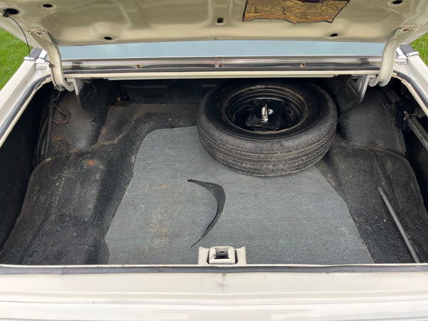 1973 Buick Apollo