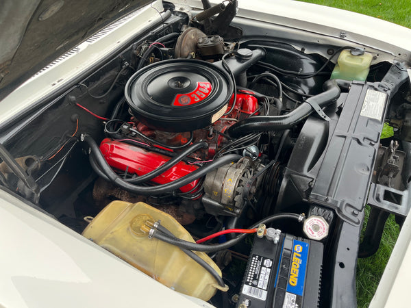 1973 Buick Apollo