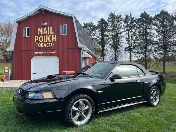 2003 Ford Mustang GT Convertible