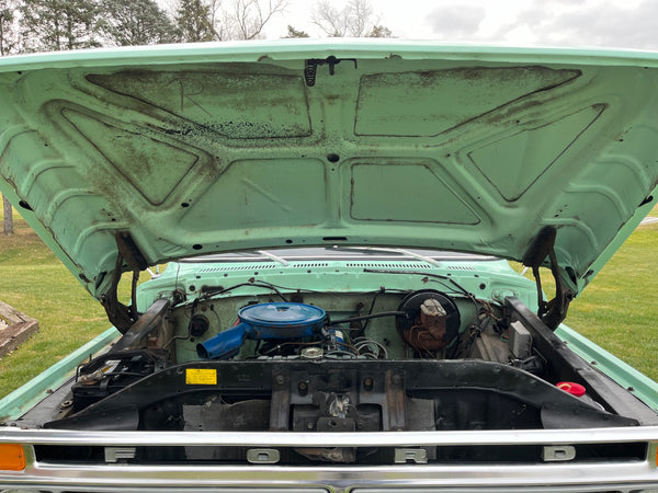 1977 Ford F150