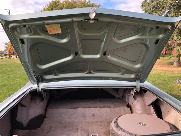 1965 Buick Special Sedan