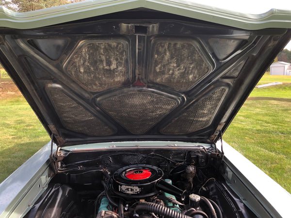 1965 Buick Special Sedan