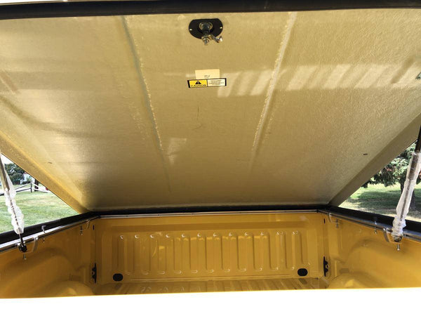 2005 Dodge Ram 1500 Rumble Bee