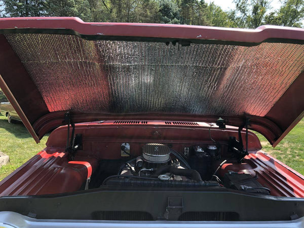 1967 Dodge D100