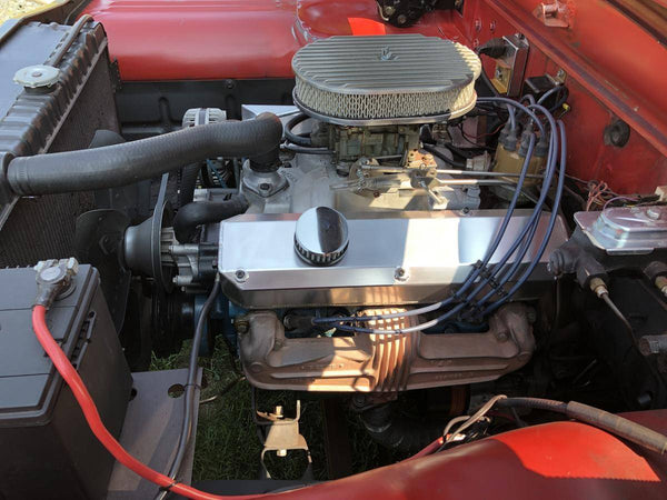 1967 Dodge D100