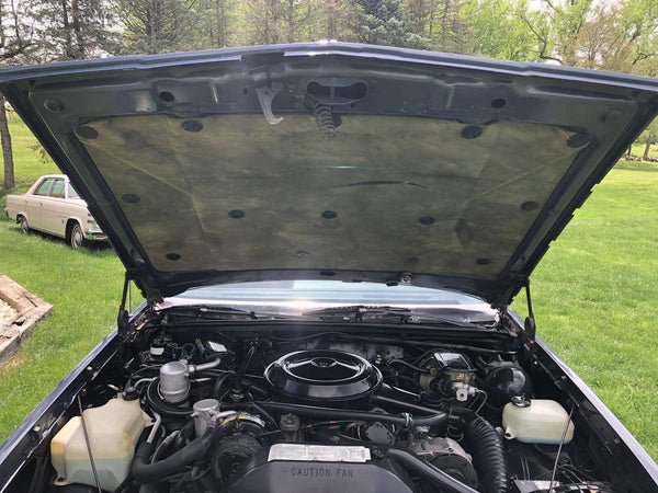 1984 Oldsmobile Cutlass Supreme
