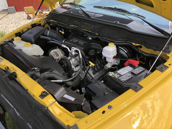 2005 Dodge Ram 1500 Rumble Bee