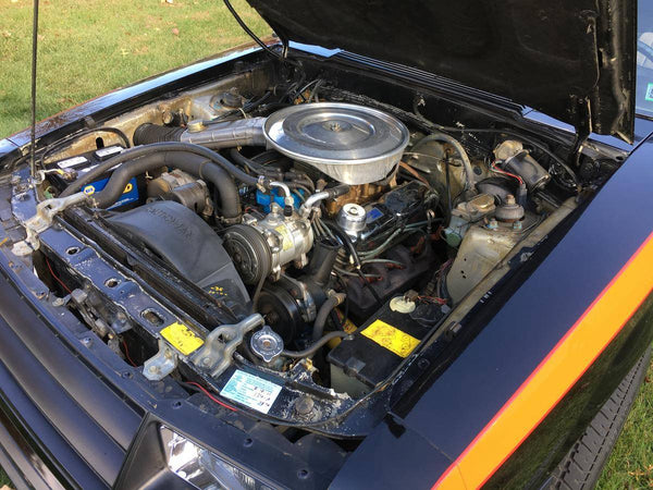 1979 Ford Mustang Hatchback Fox Body