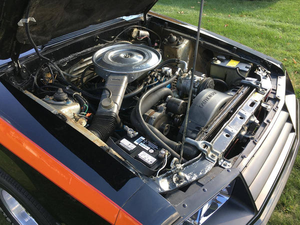 1979 Ford Mustang Hatchback Fox Body