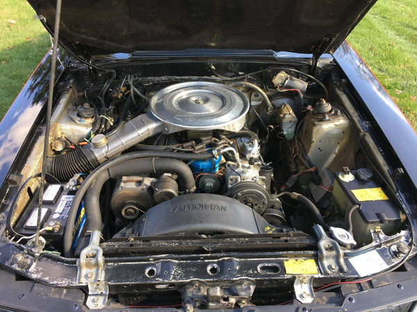 1979 Ford Mustang Hatchback Fox Body