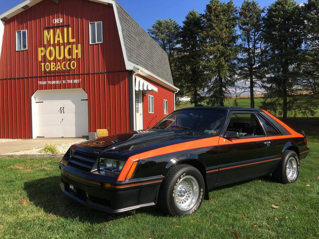 1979 Ford Mustang Hatchback Fox Body