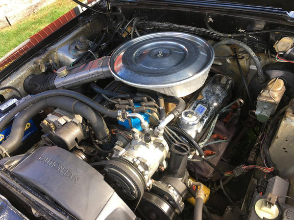 1979 Ford Mustang Hatchback Fox Body