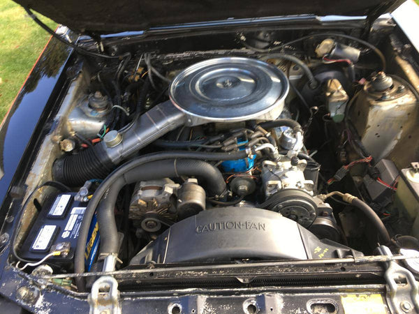 1979 Ford Mustang Hatchback Fox Body