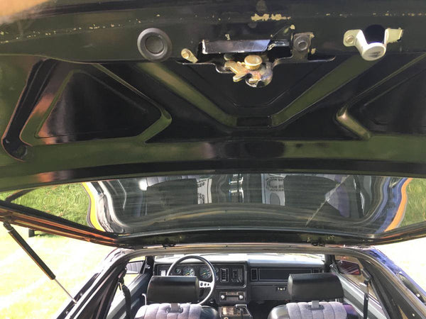 1979 Ford Mustang Hatchback Fox Body
