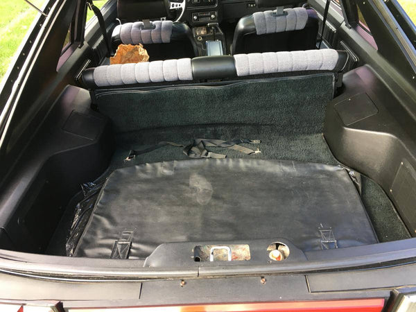 1979 Ford Mustang Hatchback Fox Body