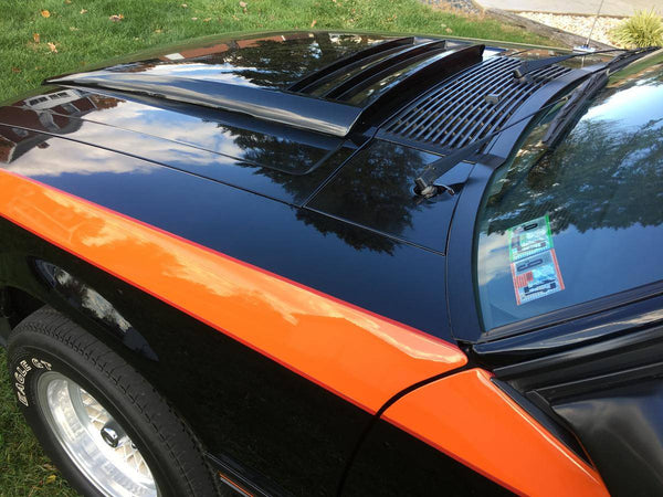 1979 Ford Mustang Hatchback Fox Body
