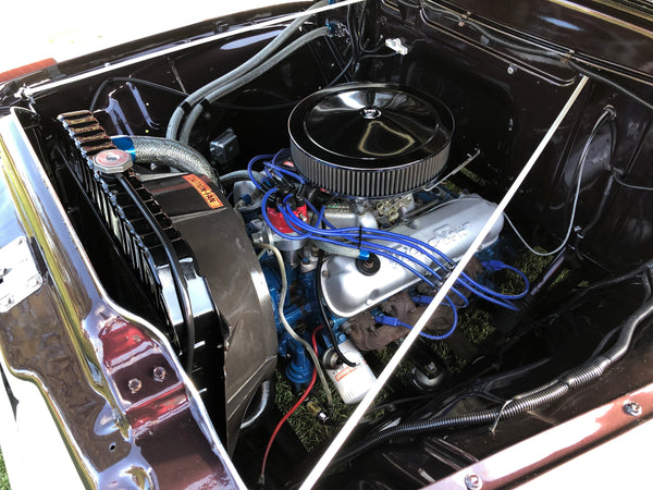 1954 Ford F-100
