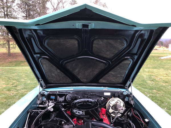 1967 Buick Skylark