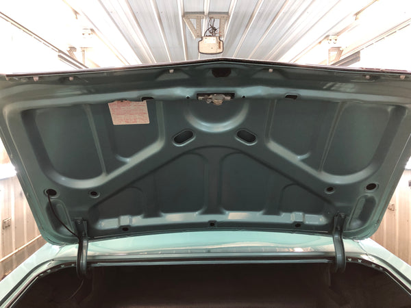1967 Buick Skylark