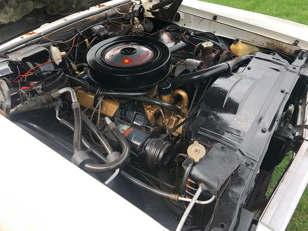 1966 Oldsmobile Cutlass Supreme