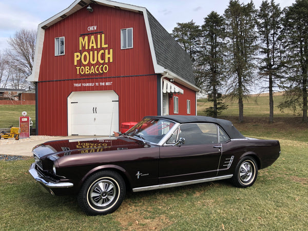 1966 Ford Mustang