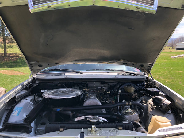 1981 Mercedes Benz 240D