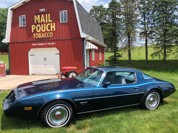 1979 Pontiac Firebird Esprit