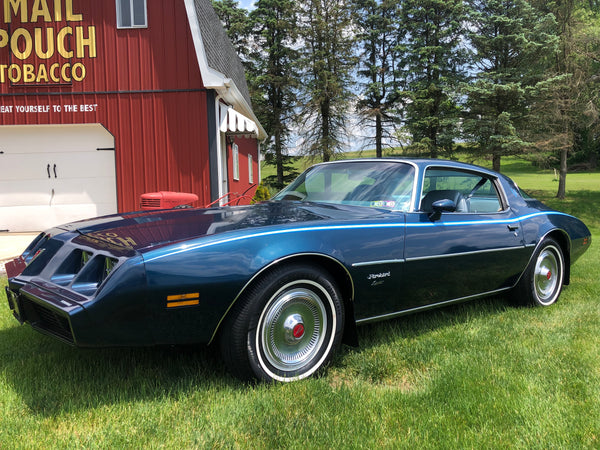 1979 Pontiac Firebird Esprit