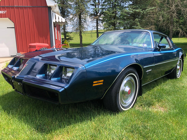 1979 Pontiac Firebird Esprit