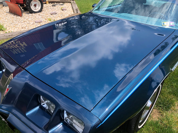 1979 Pontiac Firebird Esprit