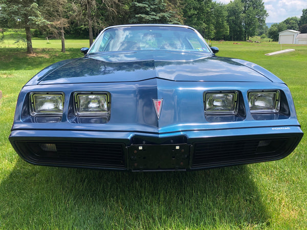 1979 Pontiac Firebird Esprit