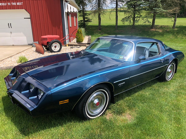 1979 Pontiac Firebird Esprit