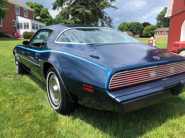 1979 Pontiac Firebird Esprit