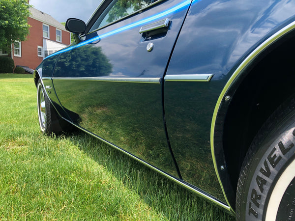 1979 Pontiac Firebird Esprit