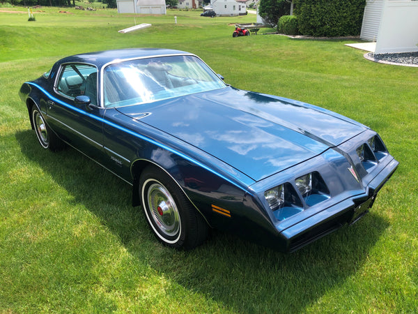 1979 Pontiac Firebird Esprit