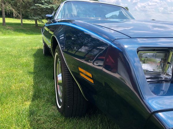 1979 Pontiac Firebird Esprit